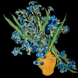 Irises